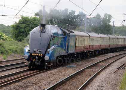 Purchase photo of 4464 BITTERN at Welham Green